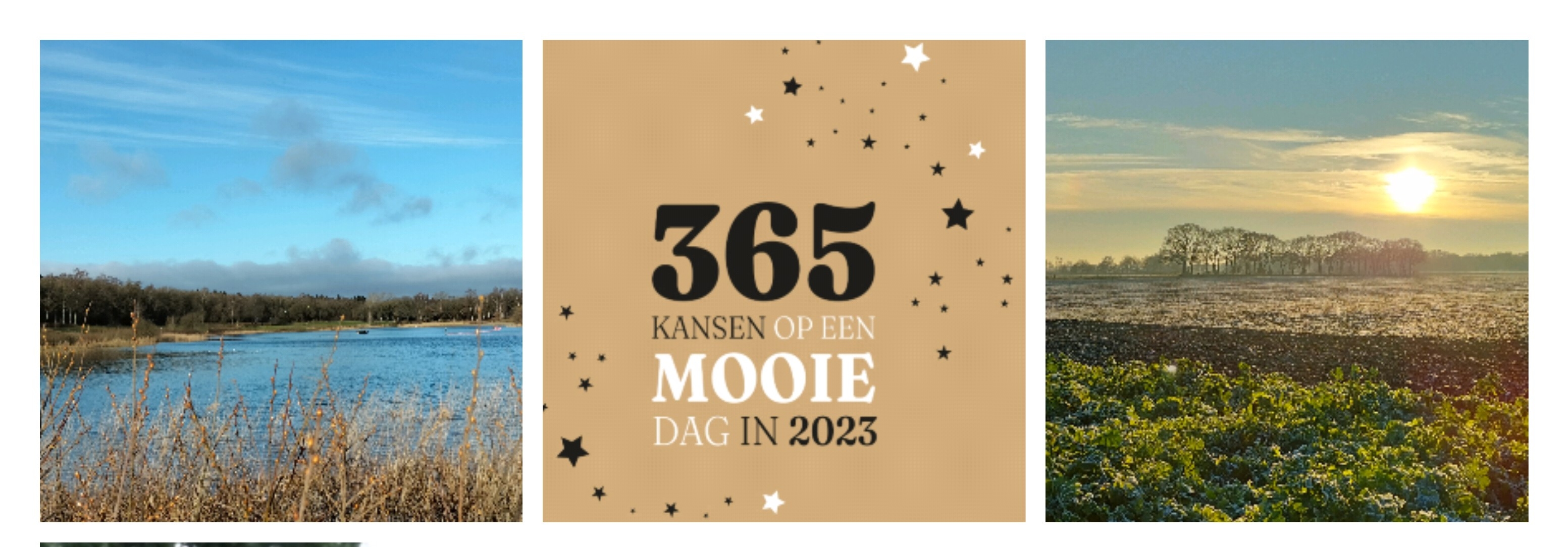 2023 We gaan weer een  nieuw jaar tegemoet!